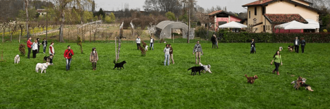 Cani, bambini e famiglie: tutti in festa per il decennale di Cani per Caso