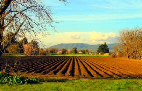 L’eccellenza dell’agricoltura biologica in Italia